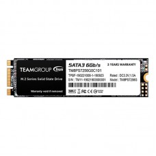 SSD TG MS30 M.2 2280 256GB SATA III 6Gb/s