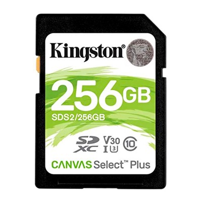 Memoria Kingston Tarjeta De  Sdhc 256 Gb, 100 Mb/s, Clase 10 Uhs-i U1 V10 Sds2/256 Gb